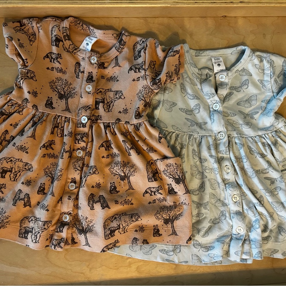 Kate Quinn bear and butterfly Print Dresses